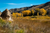 Another Cottonwood Fall color shot before the snow and cold arrived