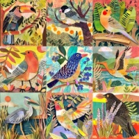 Colorful Birds