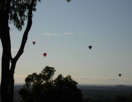 Early morning balloons, Nerang, QLD