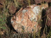 A Rock.