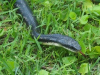 Hello there Friend