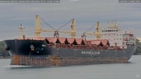Verila - Ocean-Going Freighter - Marine City, MI (2024-10-07)