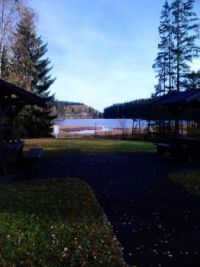 Dammtjärn Filipstad