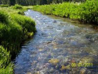Kings Creek, Lassen Volcanic N.P.