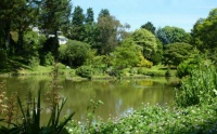 UK. Serie: Marwood Hill Garden - View over the lake