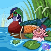 PUZZLE - Woodduck