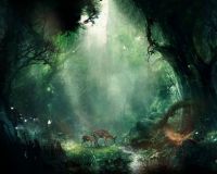 Jungle