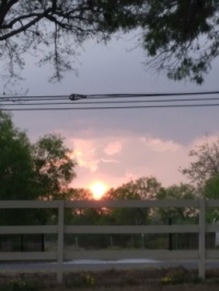 Sunset