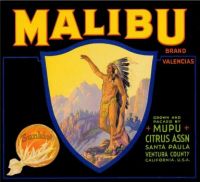 Malibu brand