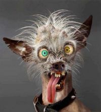 Me, without coffee