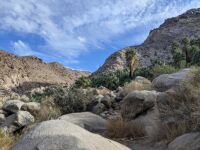 Joshua Tree National Park
