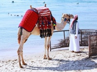 With a camel on a hotel beach in Makadi Bay, Egypt