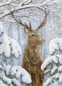 Seasonal Art - Winter - Stag