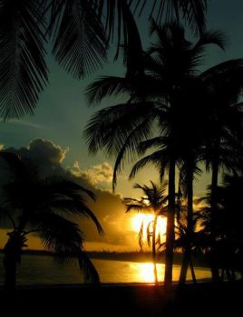 Hawaiian Sunset (Fun-Size)