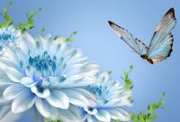 blue butterfly.jpg