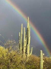 Arizona desert rainbow