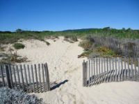 the beach at St. Tropez