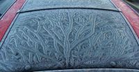 Frost