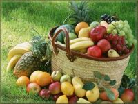 recogiendo fruta fresca