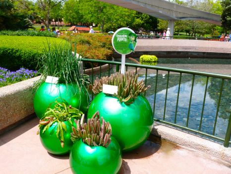 Epcot's Emotion Garden-Disgusting Plants