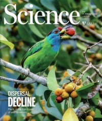 Science: Blue-throated barbet