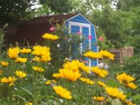 Cindy's Garden