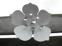 My garden flower