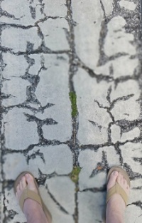 Old Pavement Paint - with Toes