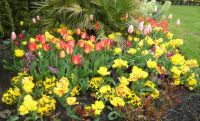 Spring flowers in Victoria BC