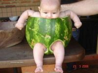 new fashion
