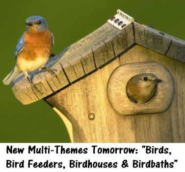 New Multi-Themes Tomorrow: "Birds, Bird Feeders, Birdhouses & Birdbaths"   ENJOY