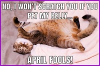 Pull Your Hand Away Quickly On April Fool's Day!