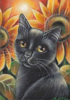 black cat puzzle