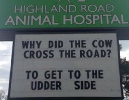 Solve Why did the cow cross the road jigsaw puzzle online with 12 pieces