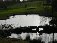 Two ponds