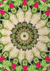 Kaleido