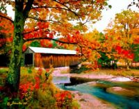 Covered Bridge in Vermont by Nadine and Bob Johnston