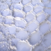 Tyre prints - 306 pieces