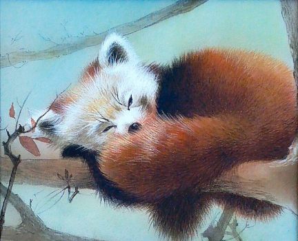Painting of sleeping red panda