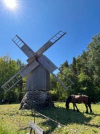 A Lovely Day in Tallinn, Estonia