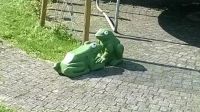 kikkers
