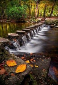 Shimna River, Ireland