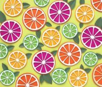 Citrus Slices Paper Art by Sarah Dennis