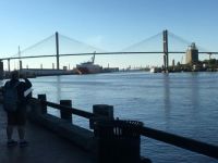 Savannah
