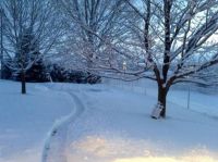 Sister's backyard