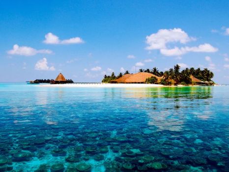 beach-maldives_6577_600x450