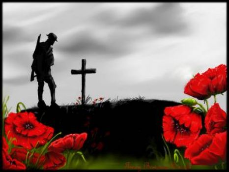 in flanders fields the poppies grow between the crosses row on row