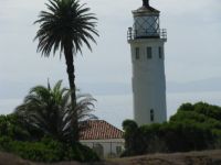 Point Vincente