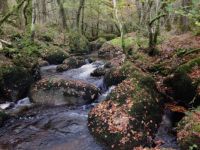 Dartmoor River