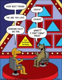Wobblybear's Fun Stuff (wbfs) - The Pyramid game - how a cat answers